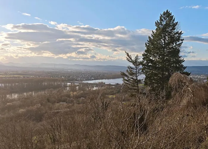 Apartment Panorama With A View *